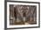 Nave Looking East, Lichfield Cathedral, Staffordshire, England, United Kingdom-Nick Servian-Framed Photographic Print