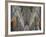 Nave of Southwark Cathedral in London-Bo Zaunders-Framed Photographic Print