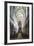 Nave of the Notre-Dame Cathedral, Bayeux, Normandy, France, Europe-Stuart Black-Framed Photographic Print