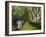 Navigation on Canal du Midi, UNESCO World Heritage Site, Aude, Languedoc Roussillon, France-Tuul-Framed Photographic Print