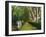 Navigation on Canal du Midi, UNESCO World Heritage Site, Aude, Languedoc Roussillon, France-Tuul-Framed Photographic Print