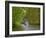 Navigation on Canal du Midi, UNESCO World Heritage Site, Languedoc Roussillon, France-Tuul-Framed Photographic Print