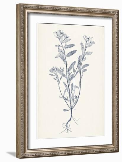 Navy Botanicals II-Vision Studio-Framed Art Print