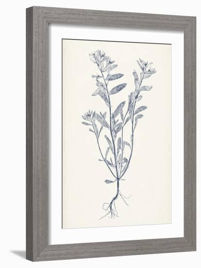 Navy Botanicals II-Vision Studio-Framed Art Print