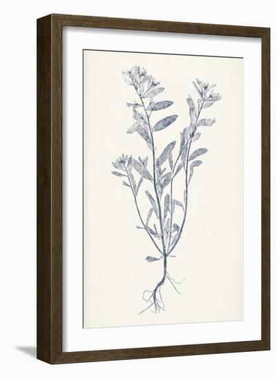 Navy Botanicals II-Vision Studio-Framed Art Print