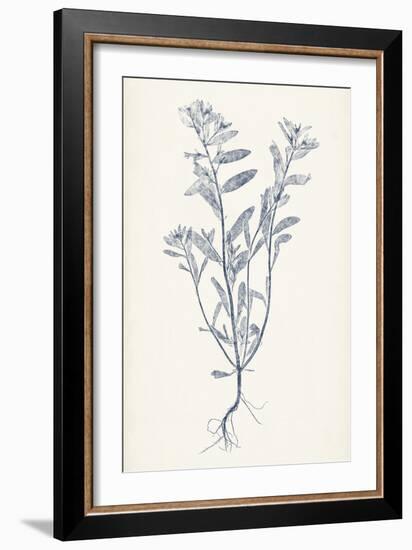 Navy Botanicals II-Vision Studio-Framed Art Print