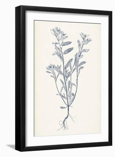 Navy Botanicals II-Vision Studio-Framed Art Print