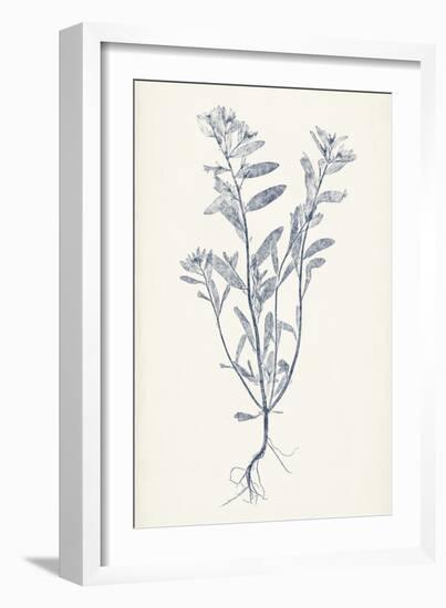 Navy Botanicals II-Vision Studio-Framed Art Print