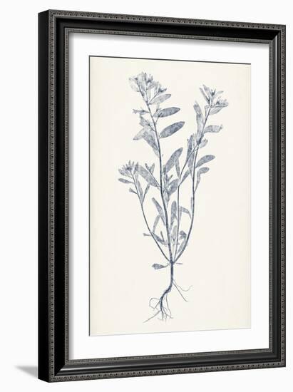 Navy Botanicals II-Vision Studio-Framed Art Print