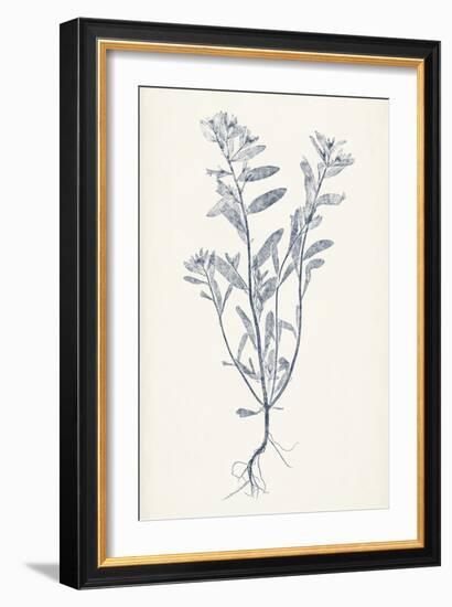 Navy Botanicals II-Vision Studio-Framed Art Print