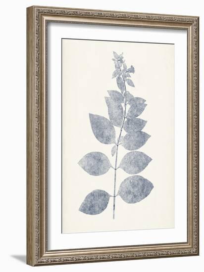 Navy Botanicals IX-Vision Studio-Framed Art Print