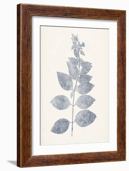 Navy Botanicals IX-Vision Studio-Framed Art Print