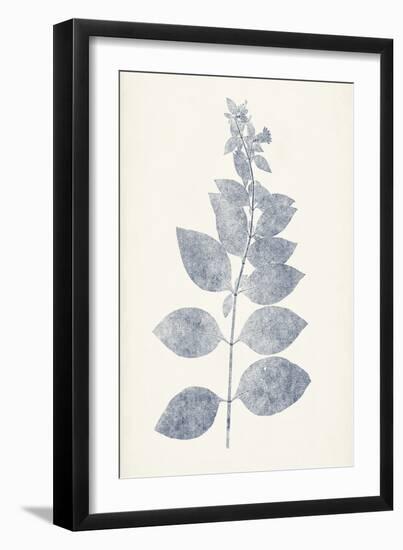 Navy Botanicals IX-Vision Studio-Framed Art Print