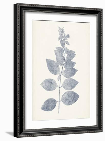 Navy Botanicals IX-Vision Studio-Framed Art Print