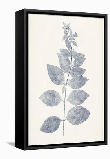 Navy Botanicals IX-Vision Studio-Framed Stretched Canvas