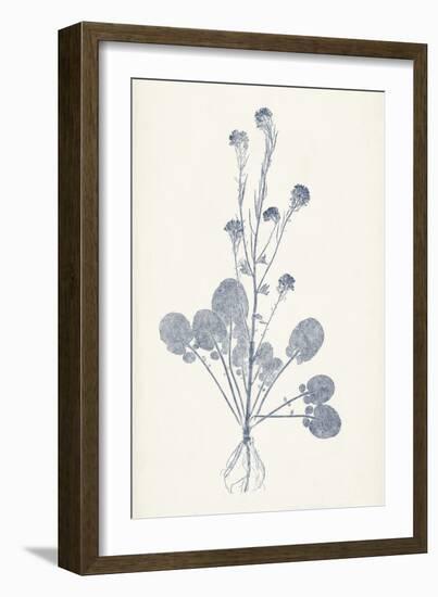 Navy Botanicals VIII-Vision Studio-Framed Art Print