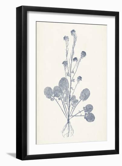 Navy Botanicals VIII-Vision Studio-Framed Art Print