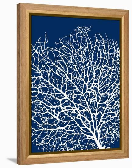 Navy Coral I-Sabine Berg-Framed Stretched Canvas