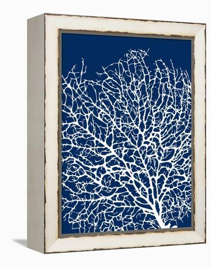 Navy Coral I-Sabine Berg-Framed Stretched Canvas