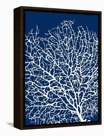 Navy Coral I-Sabine Berg-Framed Stretched Canvas