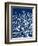 Navy Coral I-Sabine Berg-Framed Premium Giclee Print