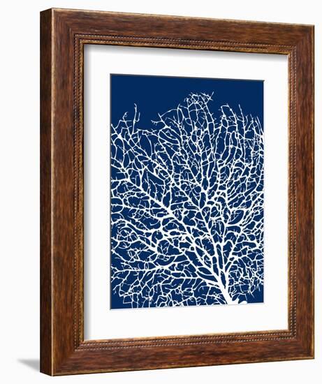 Navy Coral I-Sabine Berg-Framed Premium Giclee Print