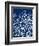 Navy Coral I-Sabine Berg-Framed Premium Giclee Print