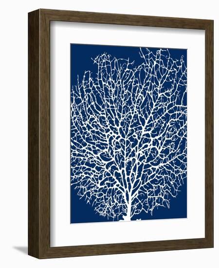 Navy Coral II-Sabine Berg-Framed Premium Giclee Print