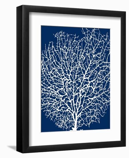 Navy Coral II-Sabine Berg-Framed Premium Giclee Print