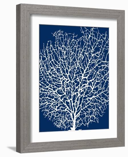 Navy Coral II-Sabine Berg-Framed Art Print