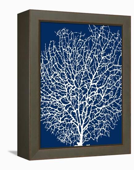 Navy Coral II-Sabine Berg-Framed Stretched Canvas