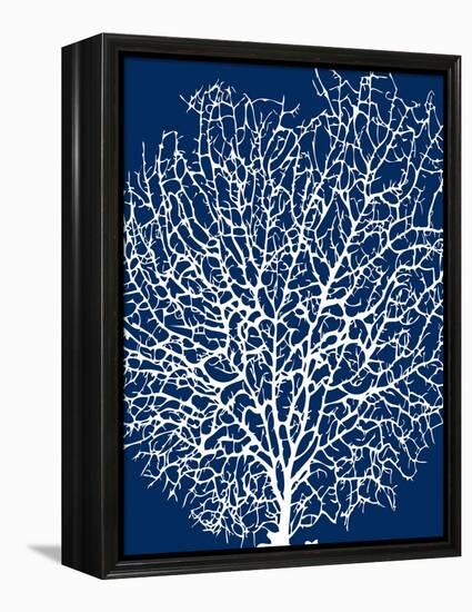 Navy Coral II-Sabine Berg-Framed Stretched Canvas