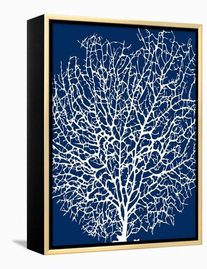 Navy Coral II-Sabine Berg-Framed Stretched Canvas