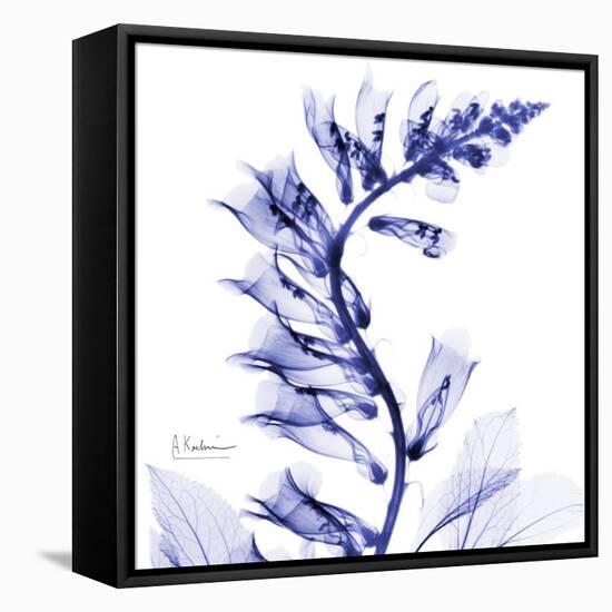 Navy Foxglove-Albert Koetsier-Framed Stretched Canvas