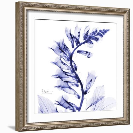 Navy Foxglove-Albert Koetsier-Framed Art Print