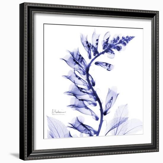 Navy Foxglove-Albert Koetsier-Framed Art Print