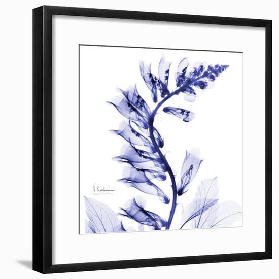 Navy Foxglove-Albert Koetsier-Framed Premium Giclee Print