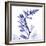 Navy Foxglove-Albert Koetsier-Framed Premium Giclee Print