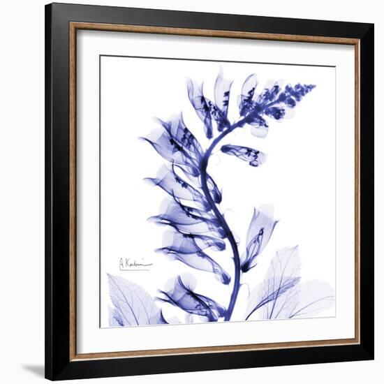 Navy Foxglove-Albert Koetsier-Framed Premium Giclee Print