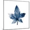 Navy Leaf Print 1-Kimberly Allen-Mounted Art Print