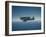 Navy Planes-Peter Stackpole-Framed Photographic Print