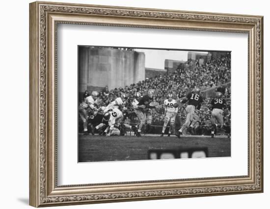 Navy Quaterback, George Welsh, Reaching Out to Complete Pass, During Army-Navy Game-John Dominis-Framed Photographic Print