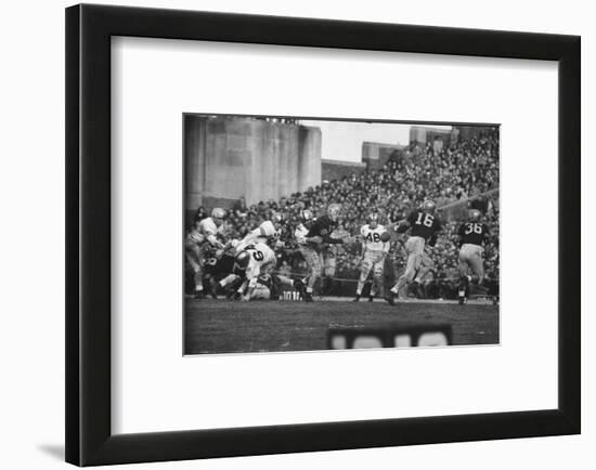 Navy Quaterback, George Welsh, Reaching Out to Complete Pass, During Army-Navy Game-John Dominis-Framed Photographic Print