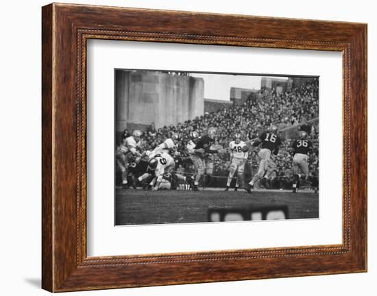 Navy Quaterback, George Welsh, Reaching Out to Complete Pass, During Army-Navy Game-John Dominis-Framed Photographic Print