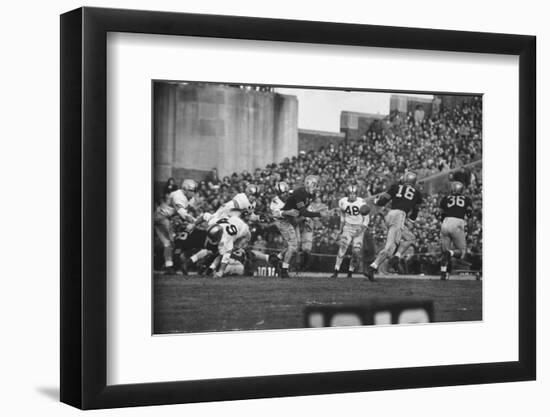 Navy Quaterback, George Welsh, Reaching Out to Complete Pass, During Army-Navy Game-John Dominis-Framed Photographic Print