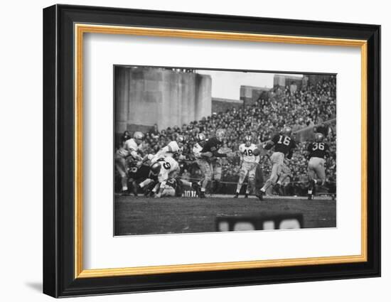 Navy Quaterback, George Welsh, Reaching Out to Complete Pass, During Army-Navy Game-John Dominis-Framed Photographic Print