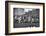 Navy Quaterback, George Welsh, Reaching Out to Complete Pass, During Army-Navy Game-John Dominis-Framed Photographic Print