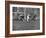 Navy Quaterback, George Welsh, Running, Grim-Faced, During Army-Navy Game-John Dominis-Framed Photographic Print