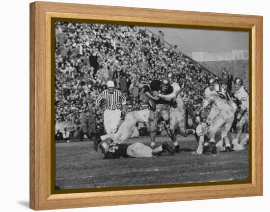 Navy Quaterback, George Welsh, Trying to Recover from Being Tackled, During Army-Navy Game-John Dominis-Framed Premier Image Canvas