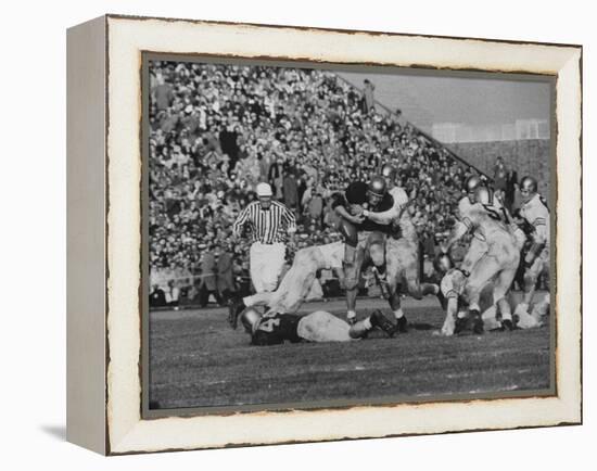 Navy Quaterback, George Welsh, Trying to Recover from Being Tackled, During Army-Navy Game-John Dominis-Framed Premier Image Canvas